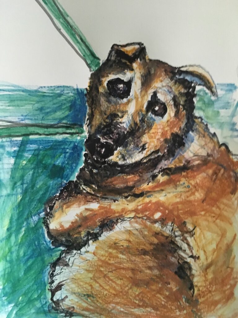 Pet sketch