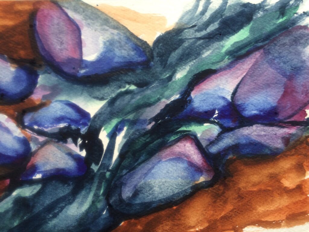 Sacred Stream