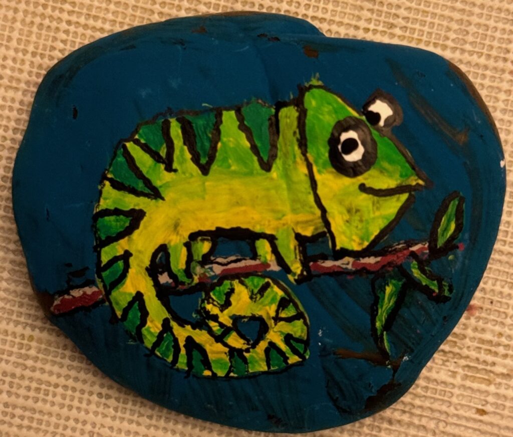 Rock Painting Class