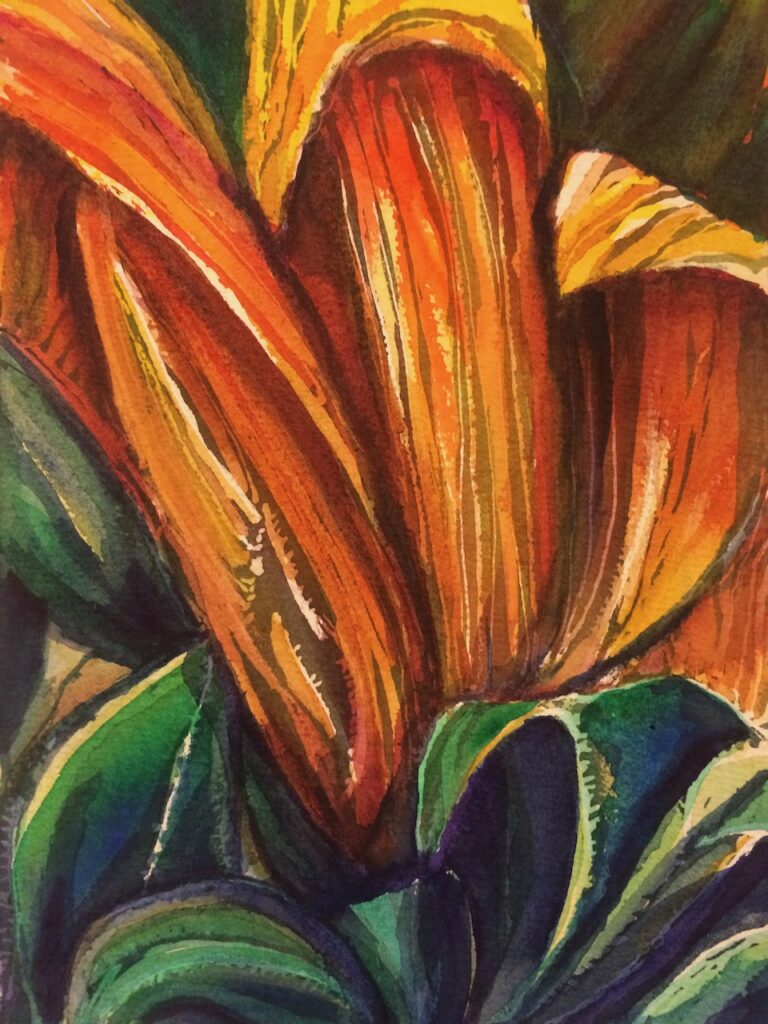 Kauai Lily