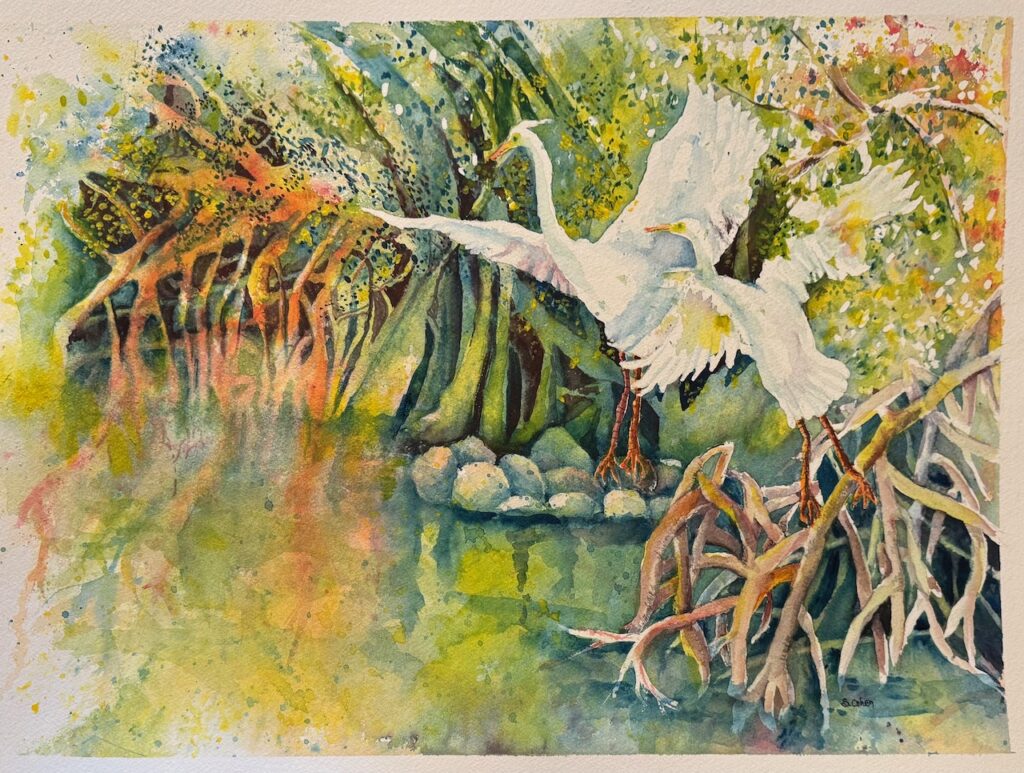 Mangrove Cranes, 2026