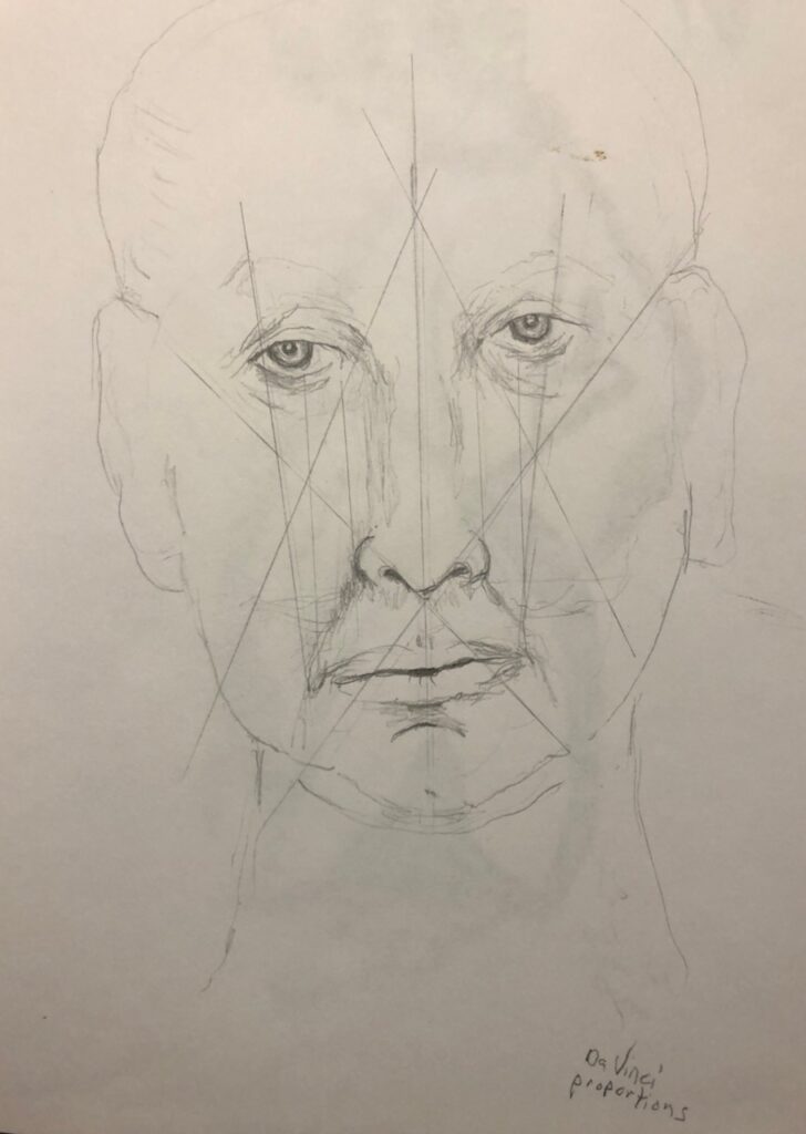 Face proportion study