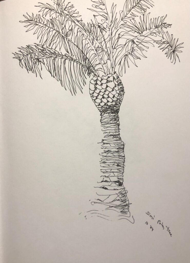 Observational sketch