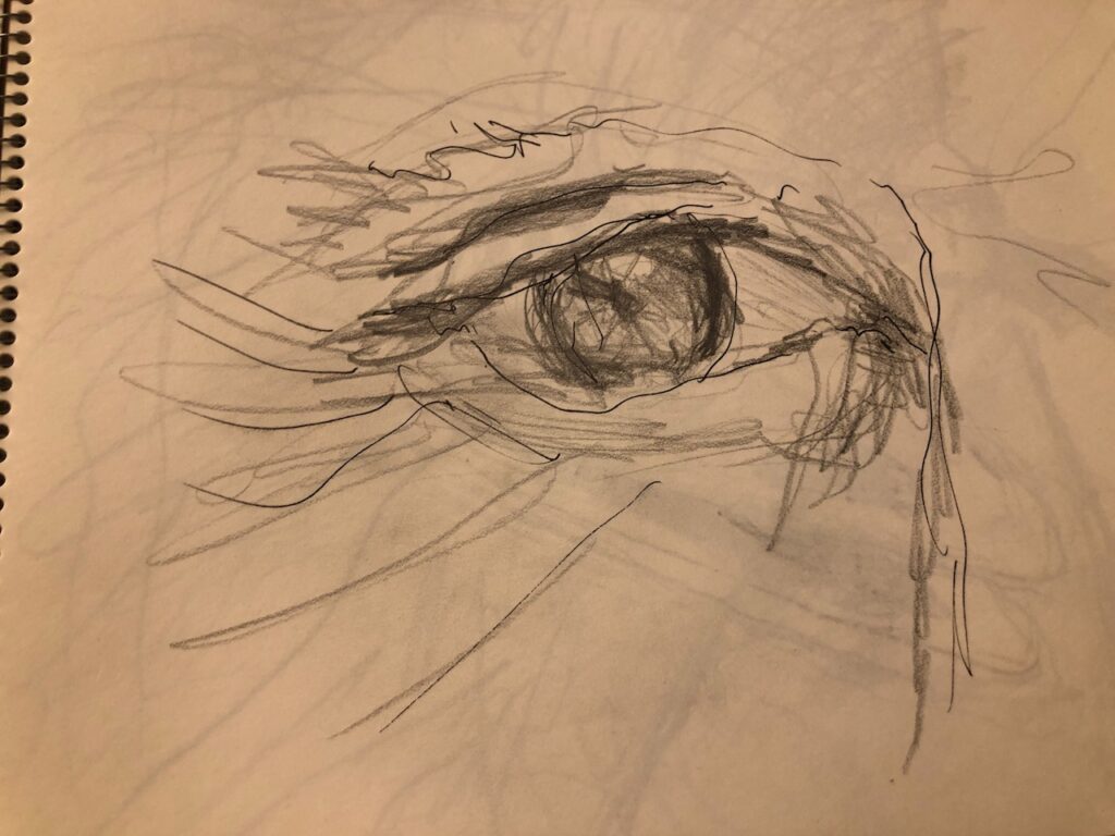 Quick eye study