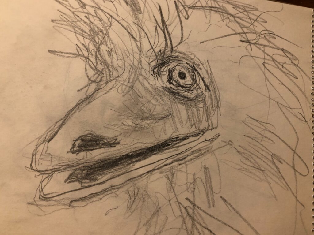 VERY quick observational study