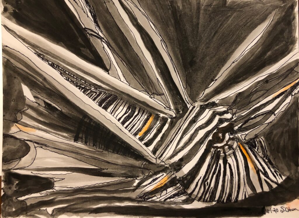 Aqarium sketch
