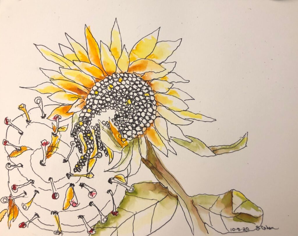 Imaginary sketch
