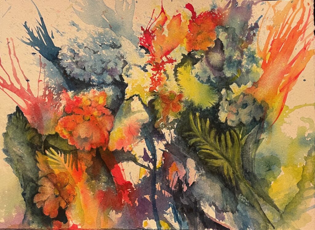 Hydrangea