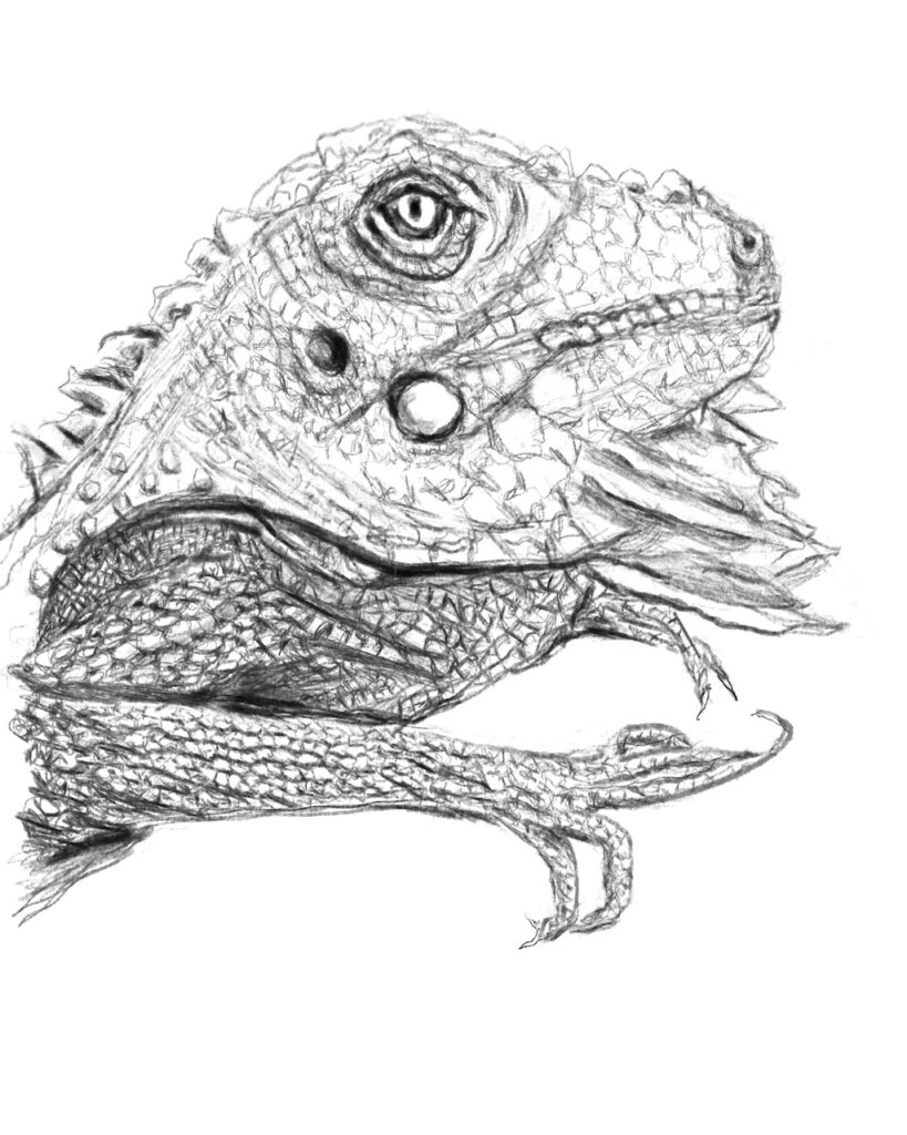 Digital Sketch