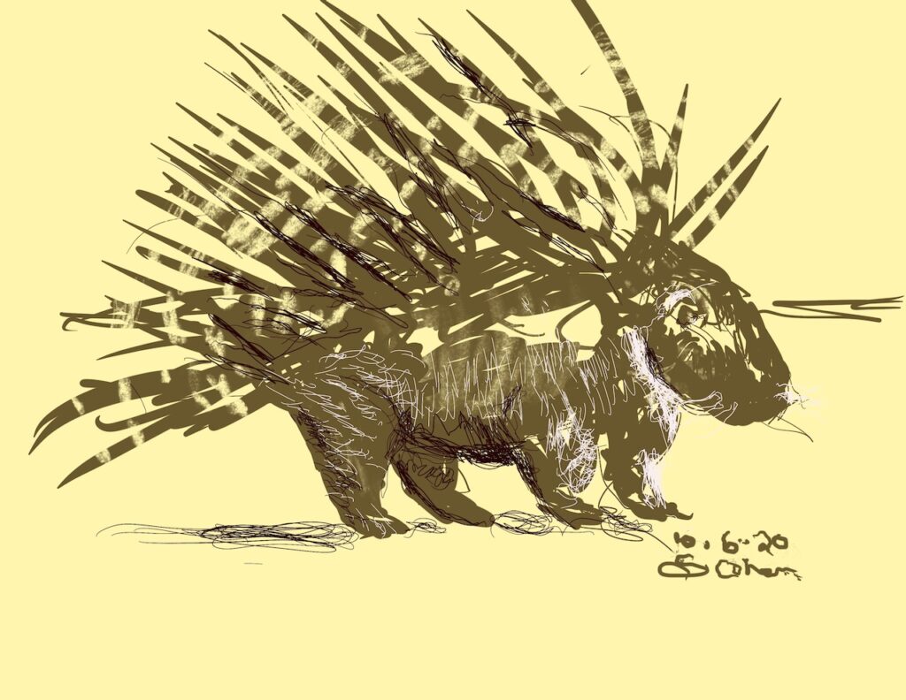 Digital Sketch