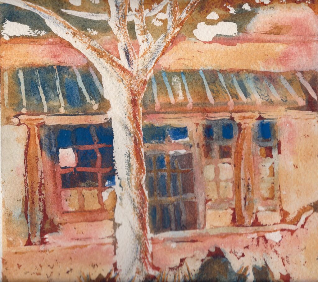 Taos Tree — watercolor by Sue Cohen